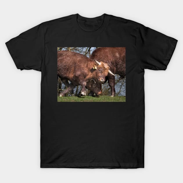 Bulls T-Shirt by hton